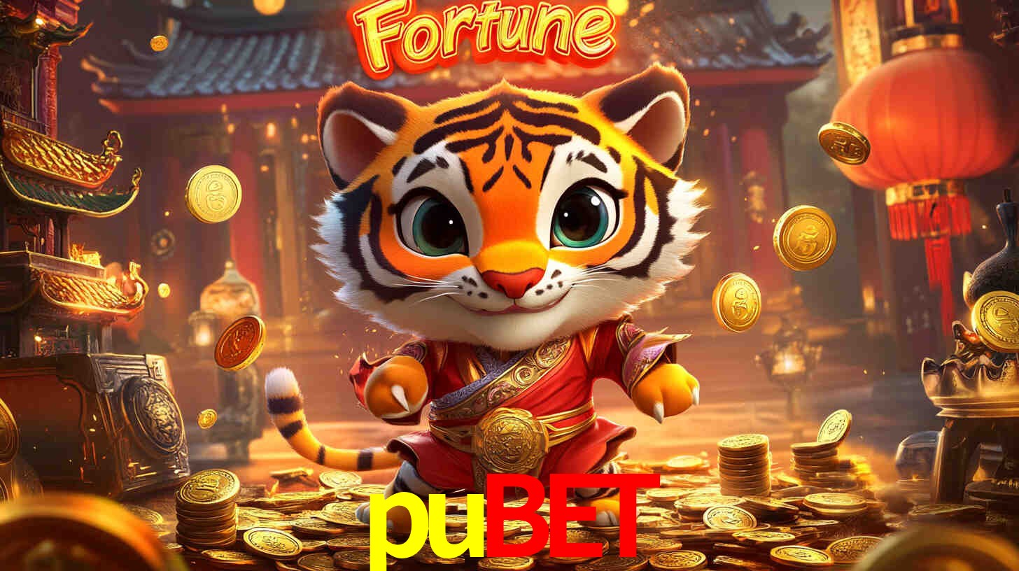 Programa VIP pubet