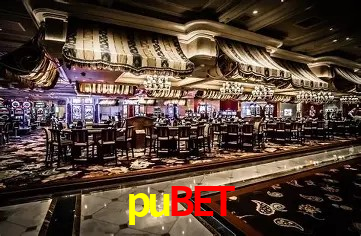 Platform Technology pubet